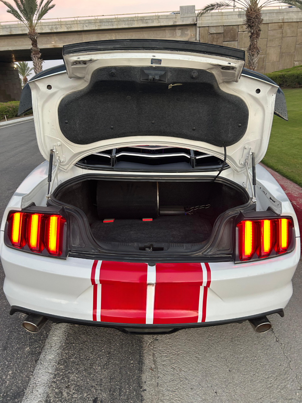 Mustang15