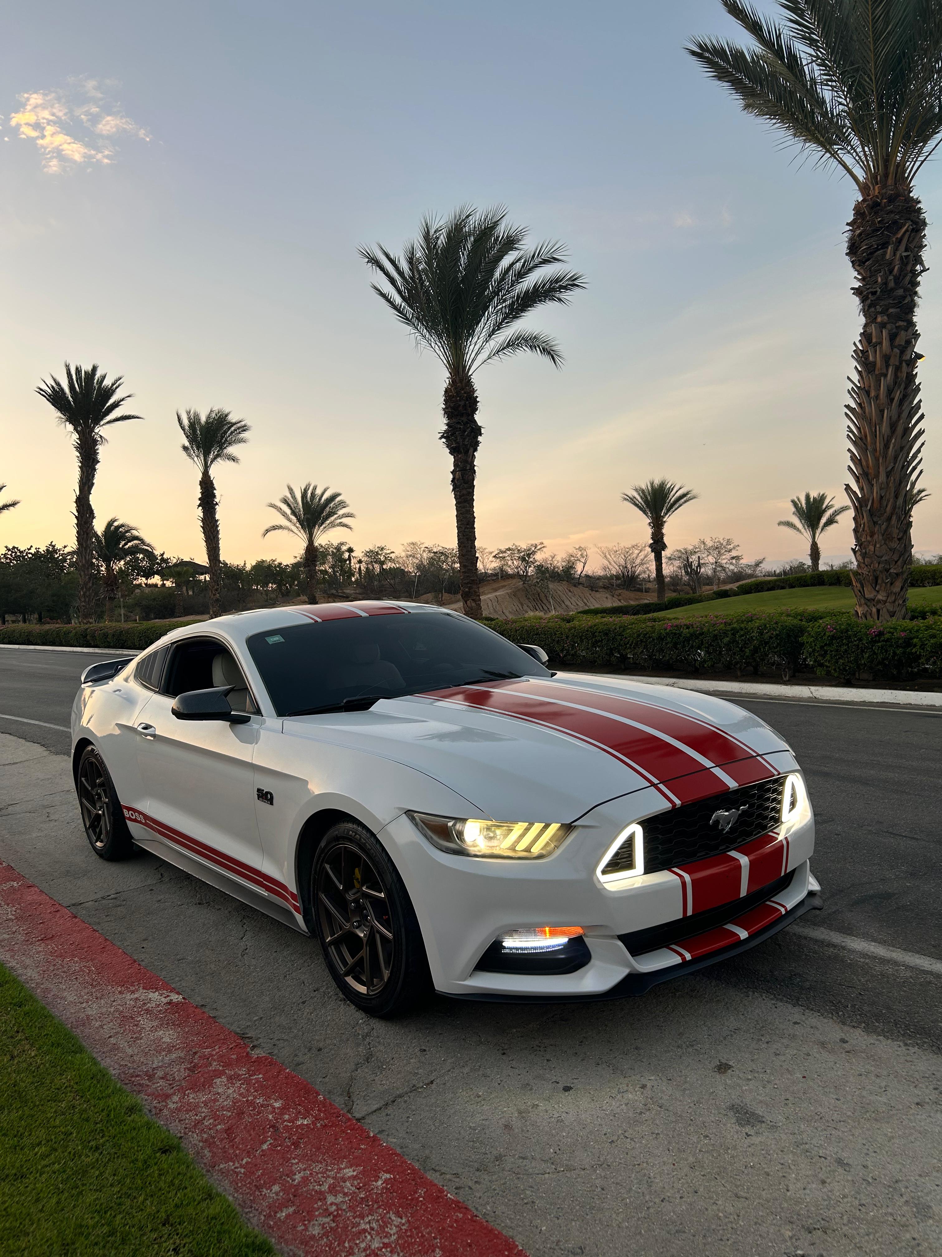 Mustang15