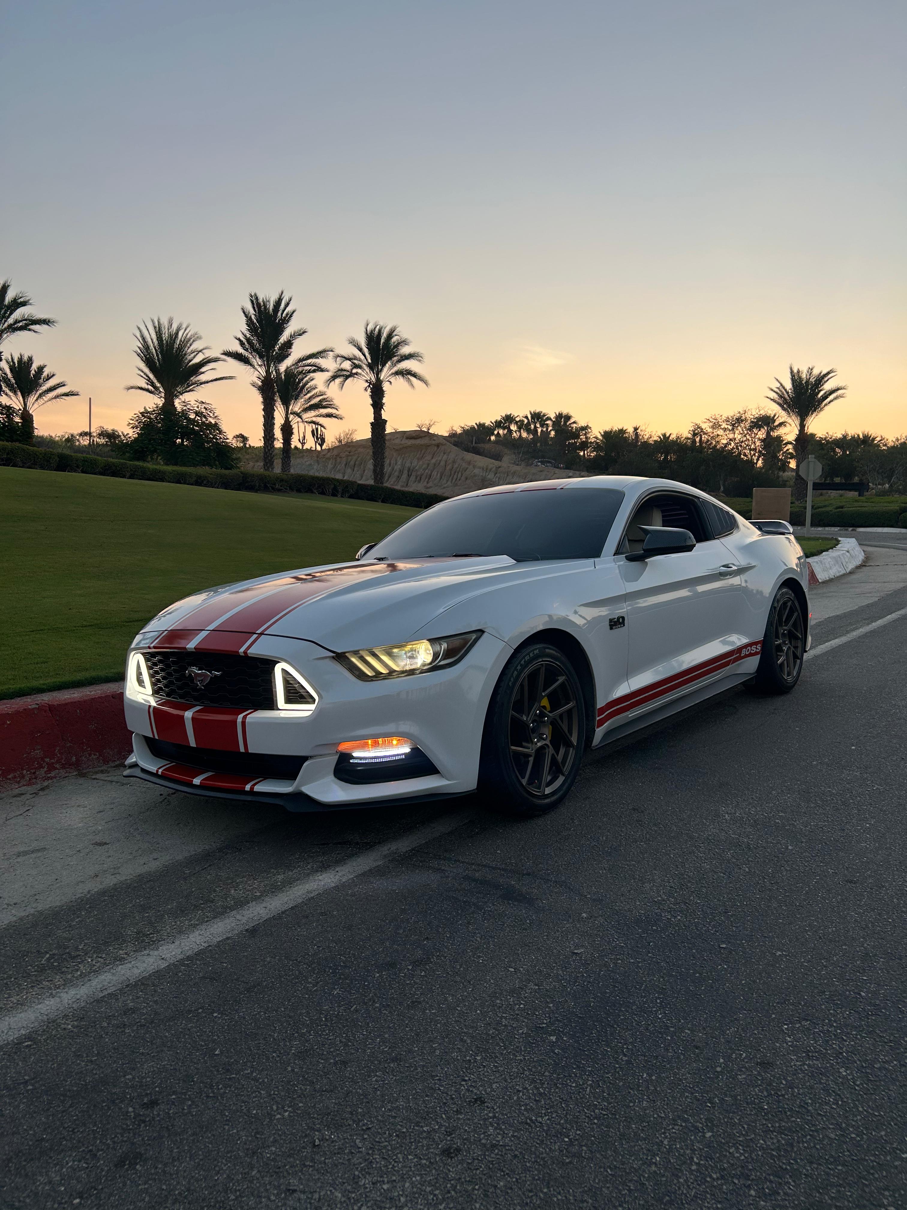 Mustang 4