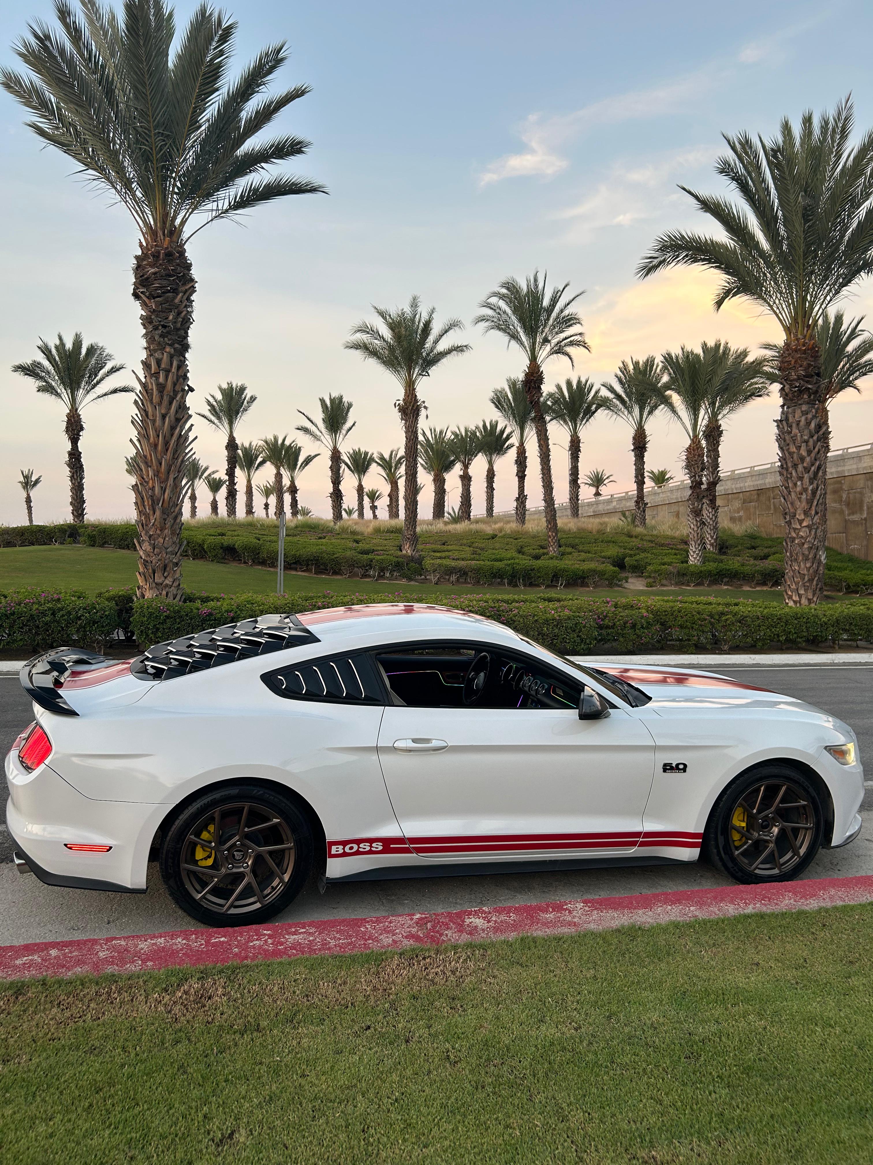 Mustang 5