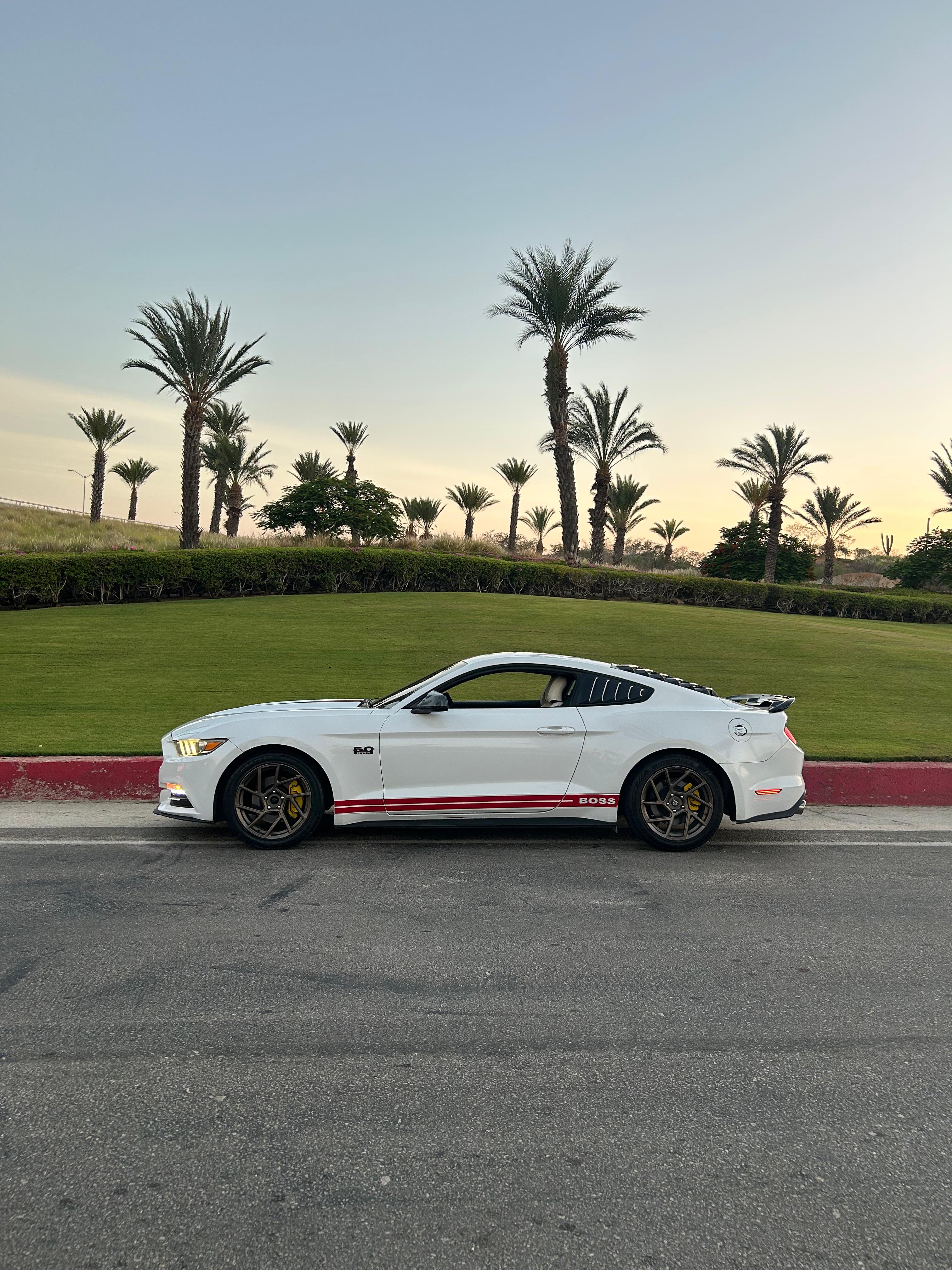Mustang15