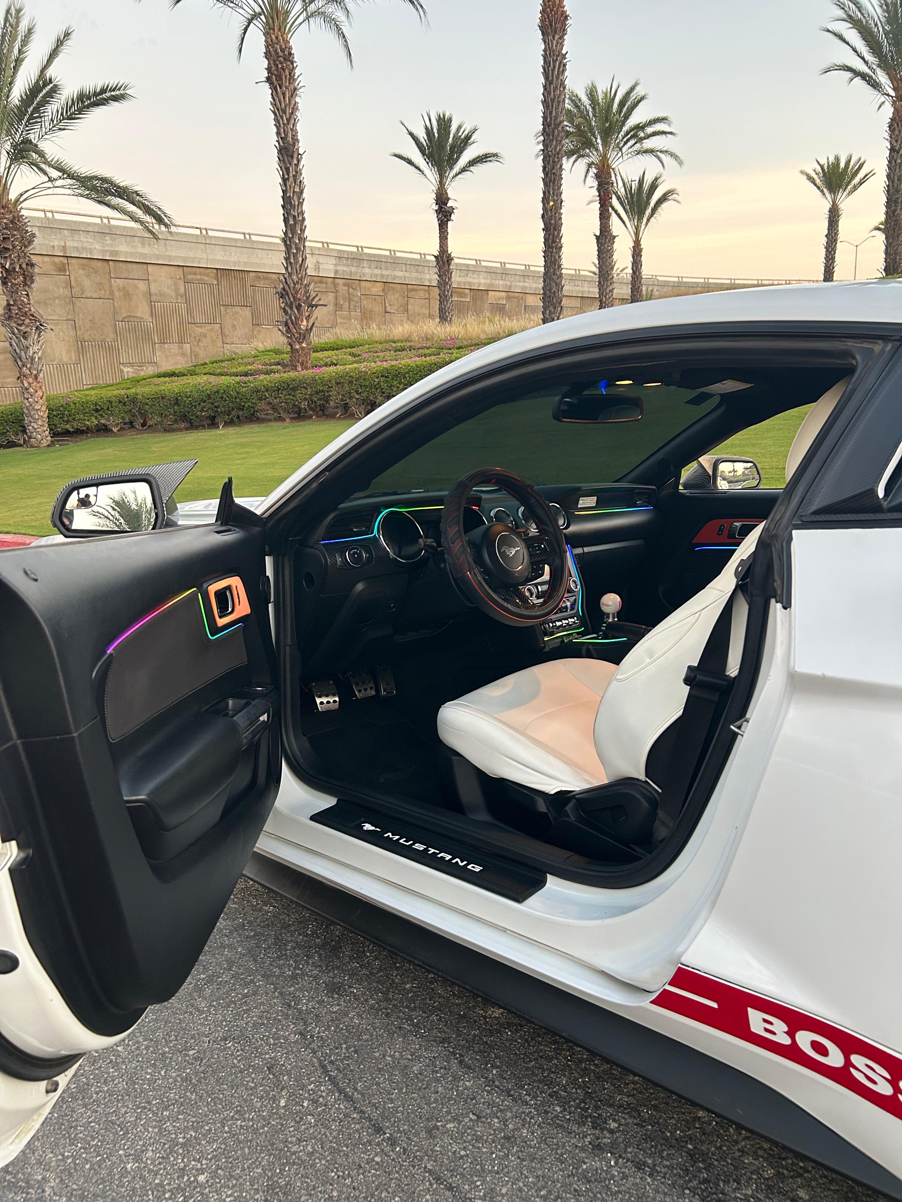 Mustang15