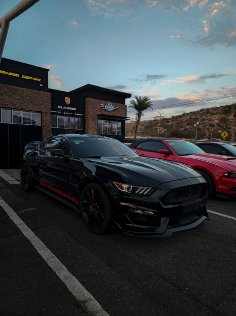 Mustang Shelby GT350 frente