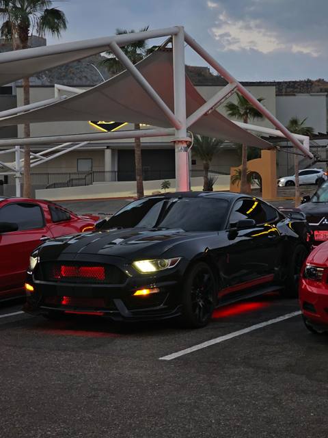 Shelby detalle