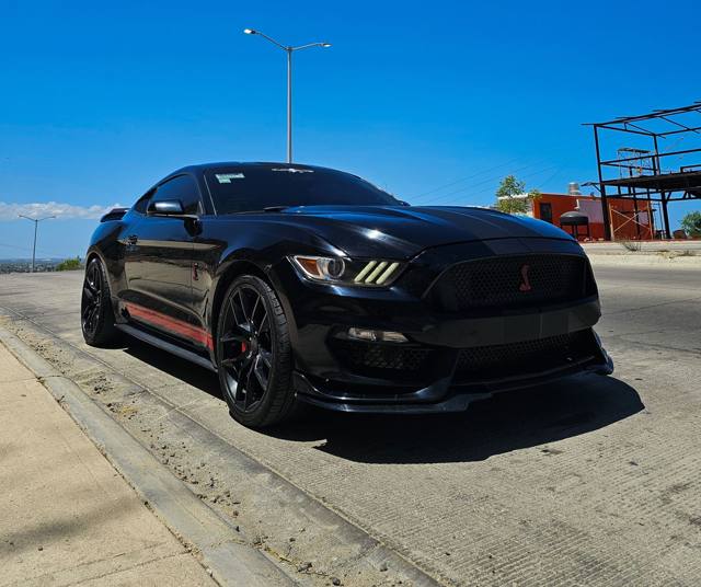 Shelby lateral