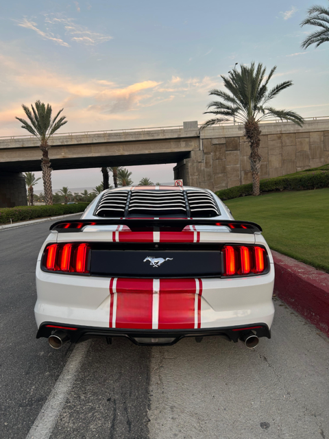 Mustang trasera