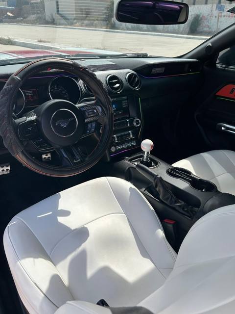 Mustang interior
